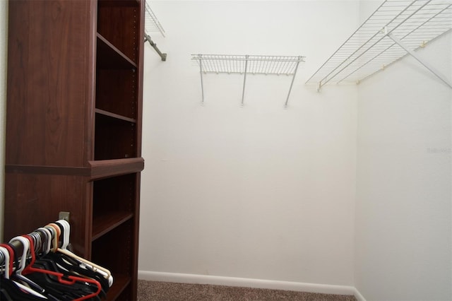 walk in closet featuring carpet flooring