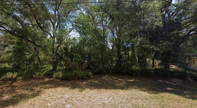 417 Ivy Ave, Deland FL, 32724 land for sale