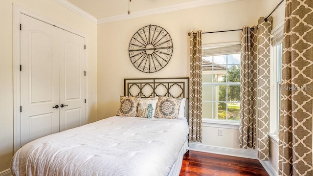 bedroom with crown molding, multiple windows, wood finished floors, and a closet