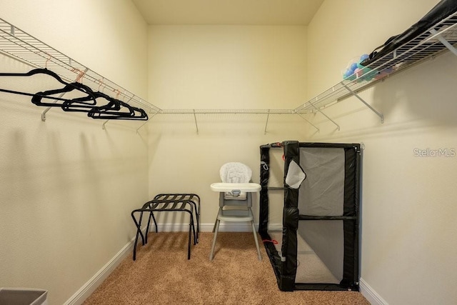 walk in closet featuring carpet