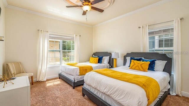 bedroom featuring ornamental molding, baseboards, and carpet floors