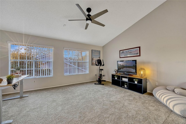 living area with a healthy amount of sunlight, a textured ceiling, lofted ceiling, and carpet floors