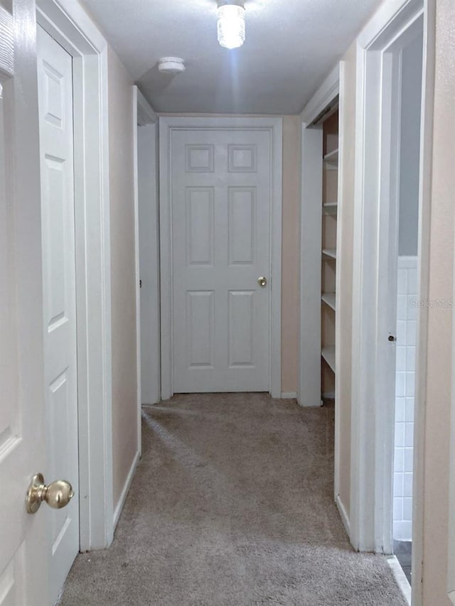 hall with carpet flooring