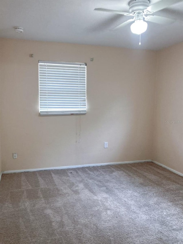 unfurnished room with ceiling fan and carpet flooring