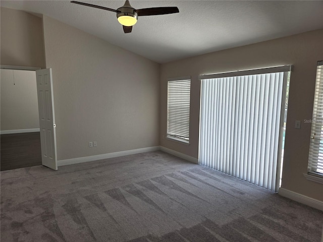 empty room featuring carpet flooring, a wealth of natural light, and a textured ceiling