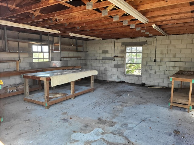 basement with a healthy amount of sunlight