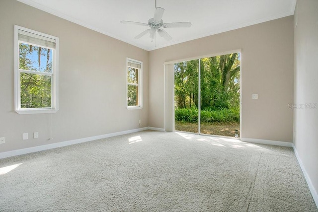 spare room featuring carpet flooring, baseboards, ceiling fan, and crown molding