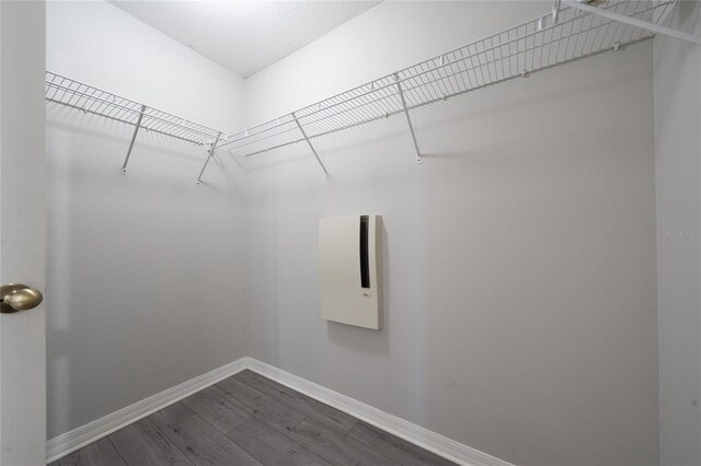walk in closet with dark wood-type flooring