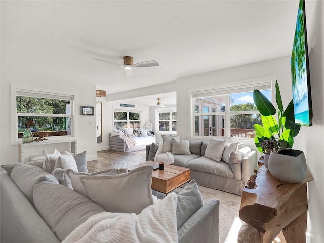 living room featuring a ceiling fan and wood finished floors