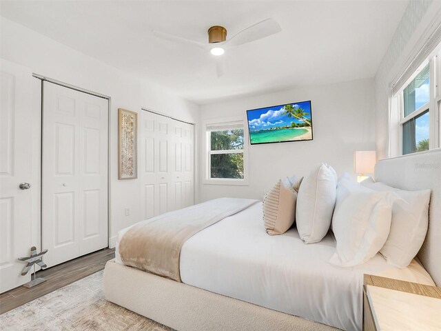 bedroom featuring ceiling fan, multiple closets, and wood finished floors