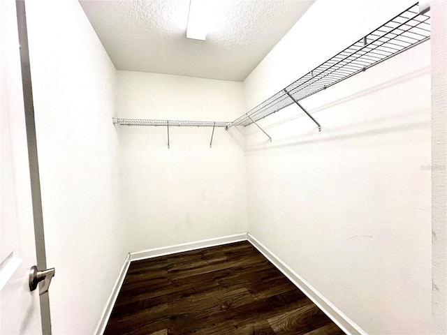 walk in closet featuring dark wood-style floors