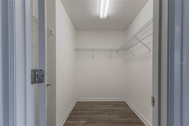 11810 Imaginary Way, Orlando, FL 32832 - photo 27