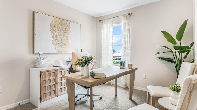 office with baseboards and carpet floors