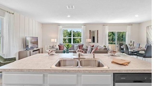 kitchen with a sink, dishwashing machine, plenty of natural light, and open floor plan