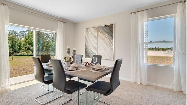 dining space with baseboards and carpet