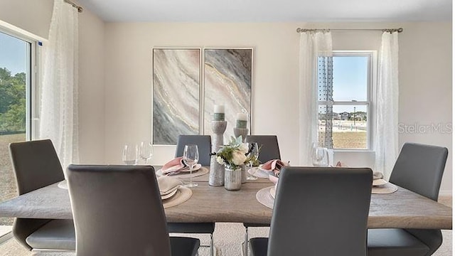 dining area with a healthy amount of sunlight