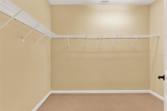 spacious closet featuring carpet