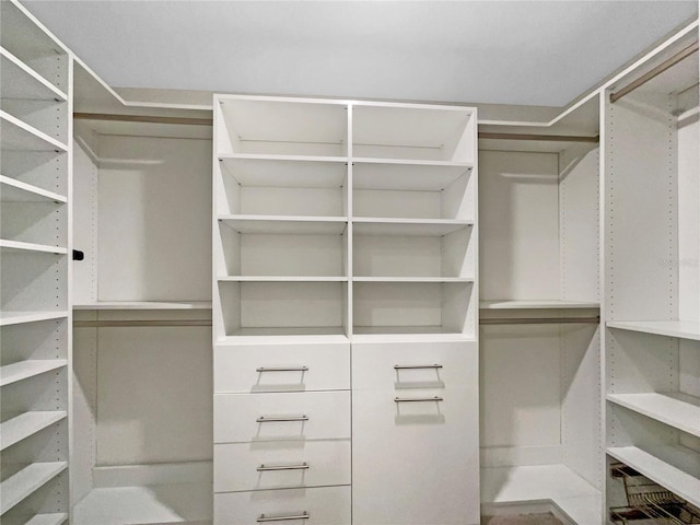 view of walk in closet