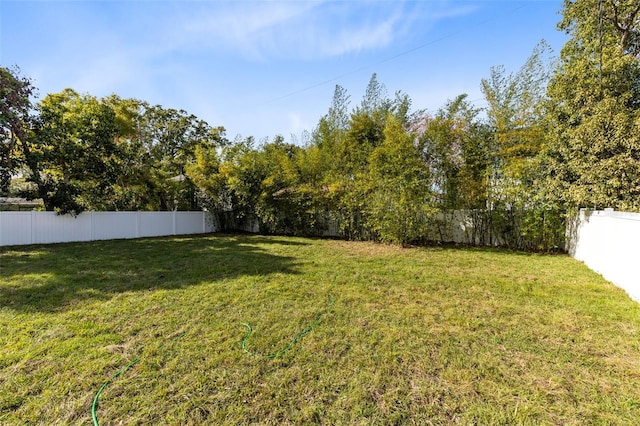 view of yard featuring a fenced backyard