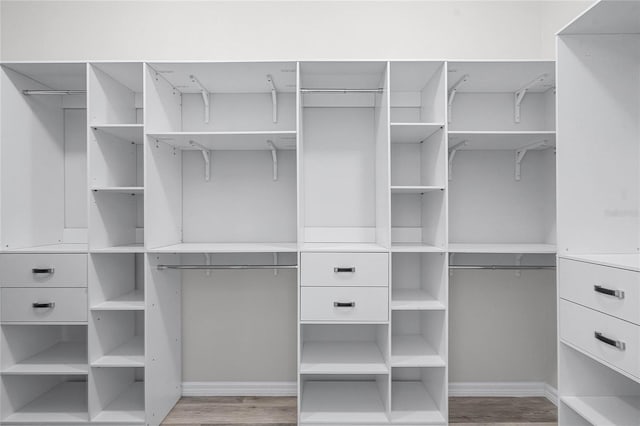 walk in closet featuring light wood finished floors