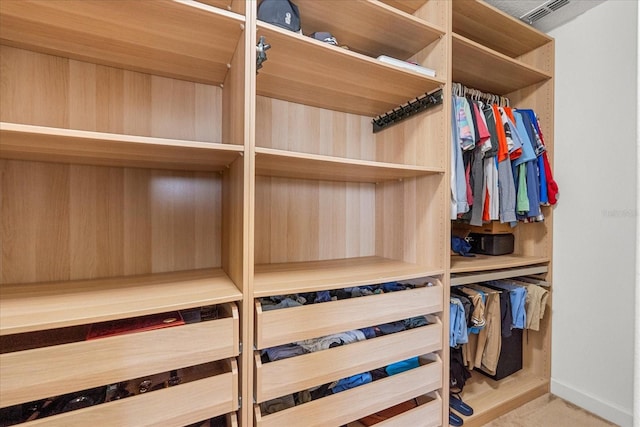 view of spacious closet