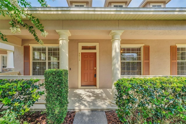 doorway to property featuring stucco siding