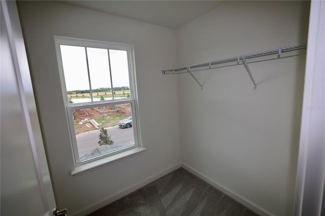 walk in closet with dark carpet