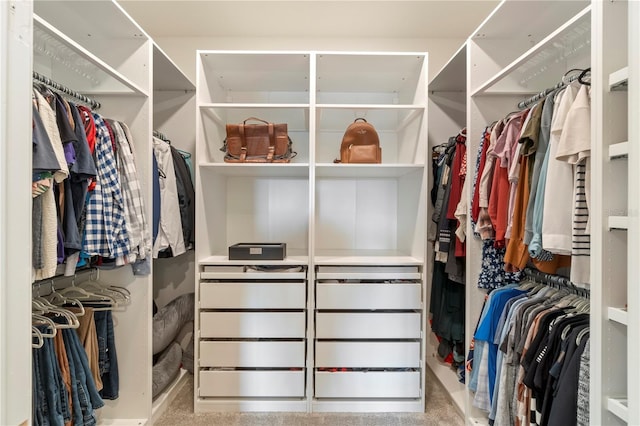 view of walk in closet