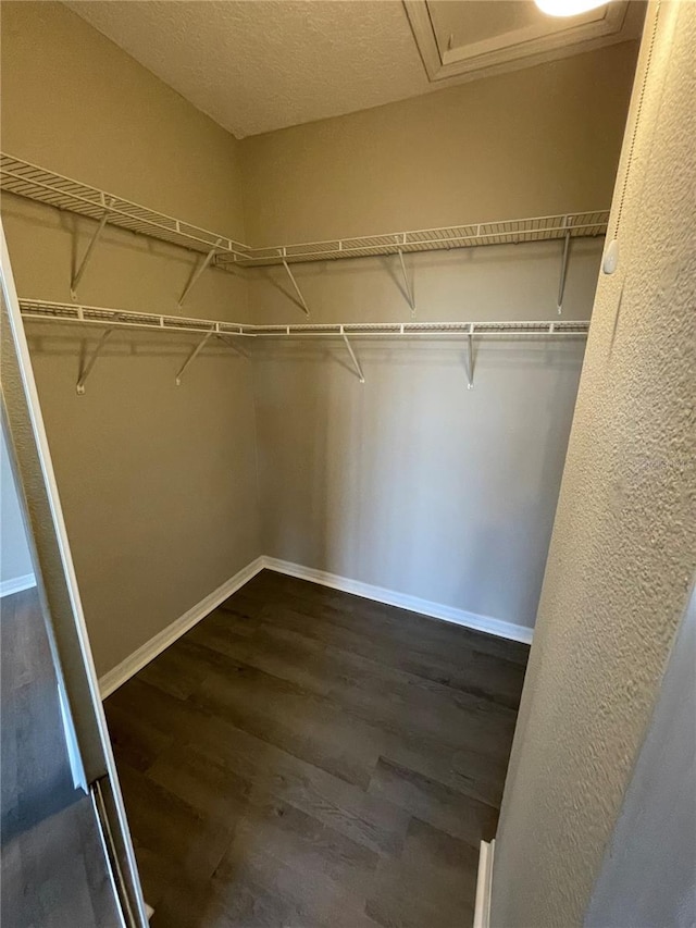 walk in closet with dark wood finished floors