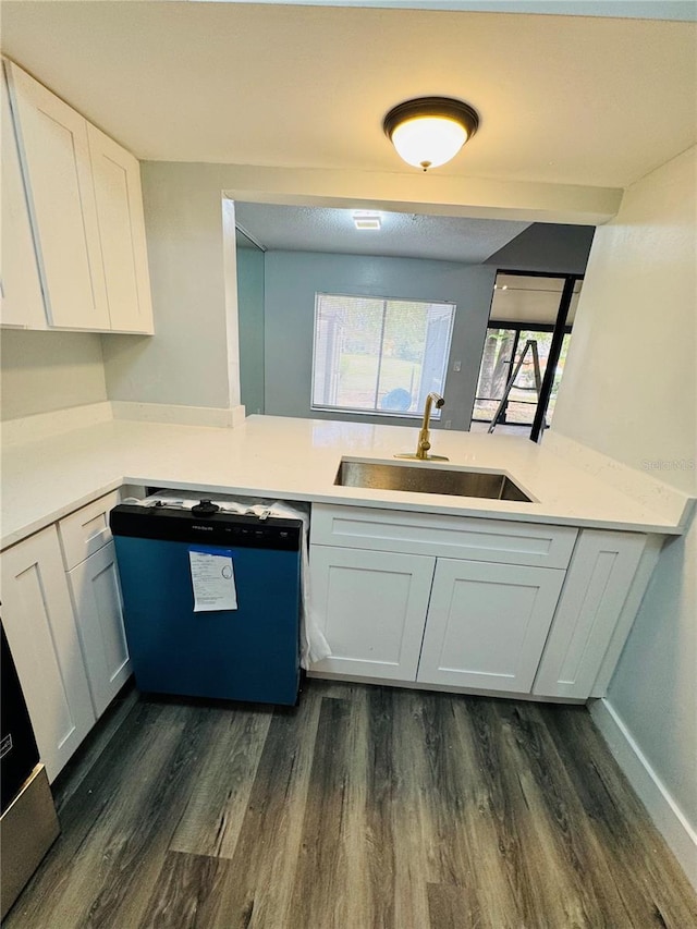 4100 Player Cir Unit 101, Orlando, FL 32808 - kitchen with a sink, white cabinetry, light countertops, dishwashing machine, and dark wood-style flooring
