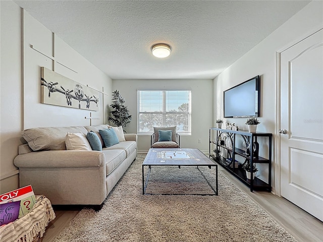 3279 Landing Vw, Tavares, FL 32778 - living area with light wood-style flooring and a textured ceiling