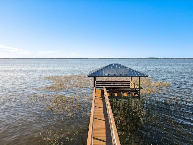 3279 Landing Vw, Tavares, FL 32778 - view of community featuring a water view