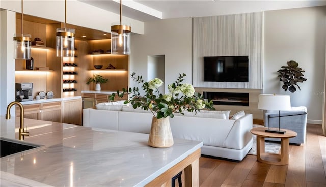 interior space featuring wood finished floors and a fireplace