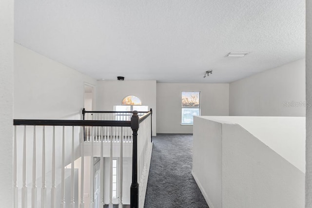 hallway with carpet, an upstairs landing, and a textured ceiling