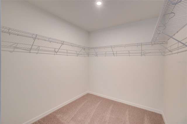 walk in closet featuring light colored carpet