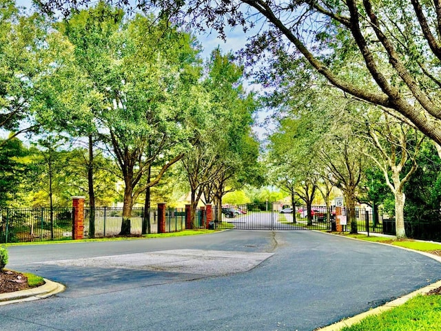 view of road with a gate, curbs, and a gated entry