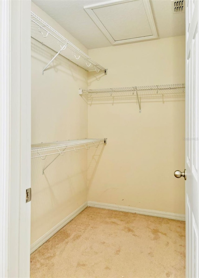 spacious closet with attic access and light colored carpet