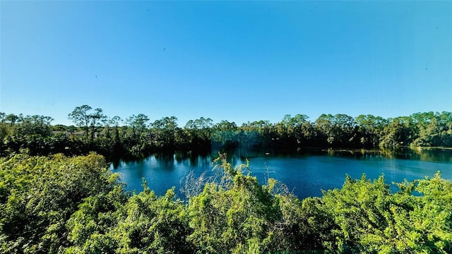 property view of water featuring a forest view