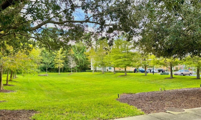 view of property's community with a lawn