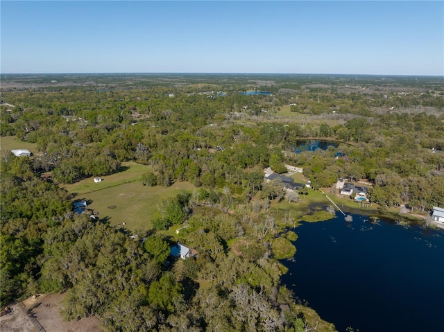 birds eye view of property with a forest view and a water view