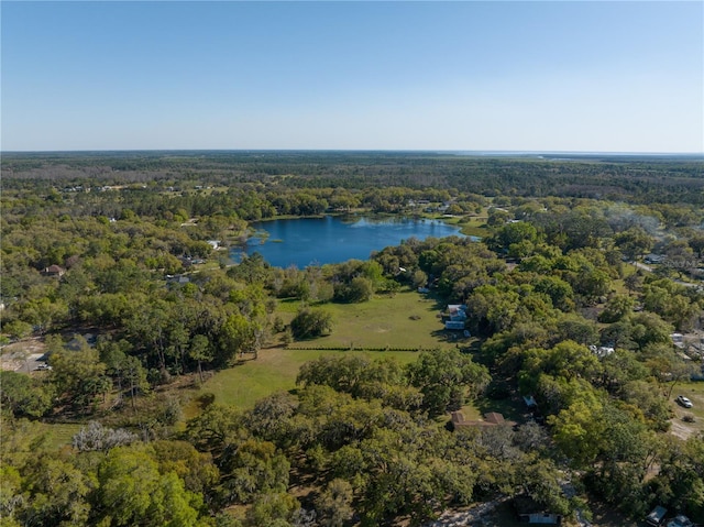bird's eye view featuring a view of trees and a water view