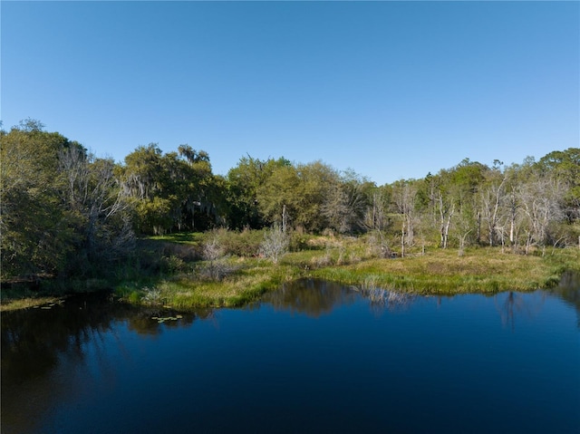 water view featuring a wooded view