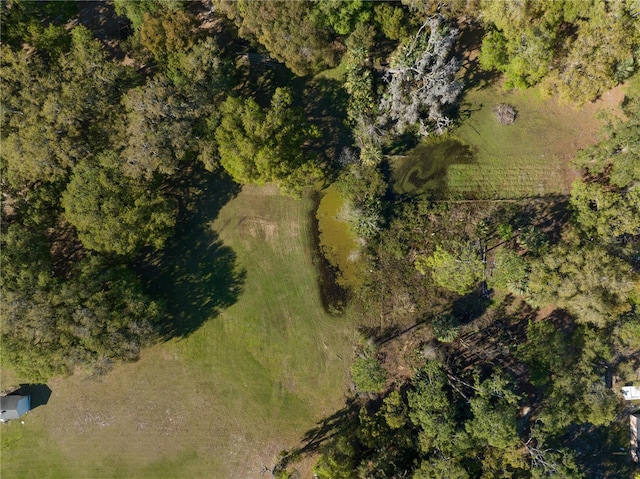 aerial view with a forest view