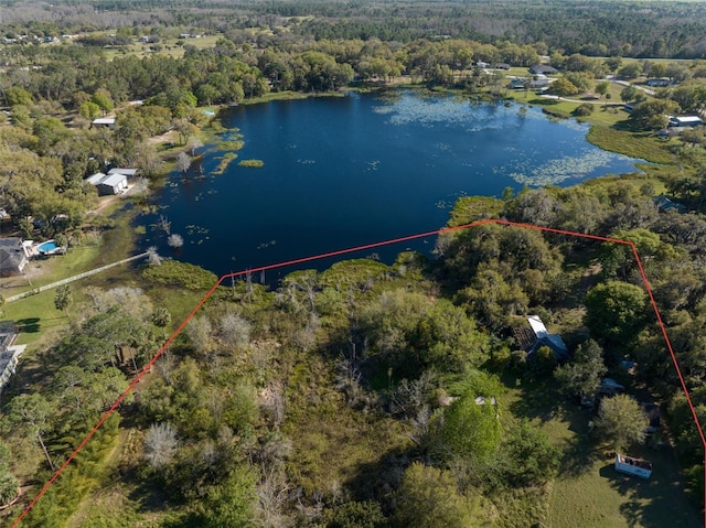 drone / aerial view with a water view and a wooded view