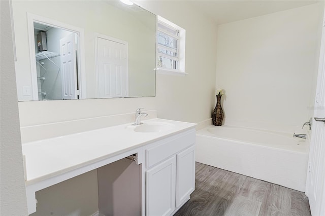 bathroom featuring wood finished floors, vanity, and a bath