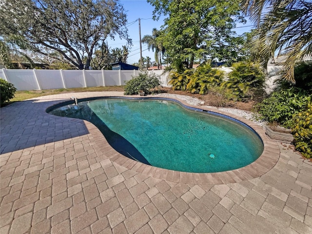 view of pool featuring a fenced in pool, a patio, and a fenced backyard