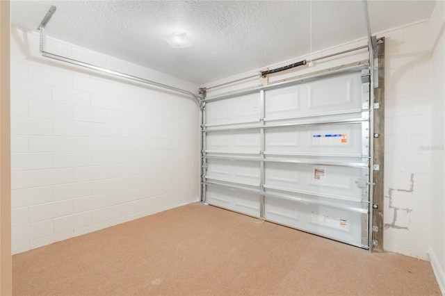 garage with concrete block wall