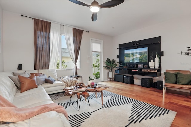 living room with ceiling fan and wood finished floors