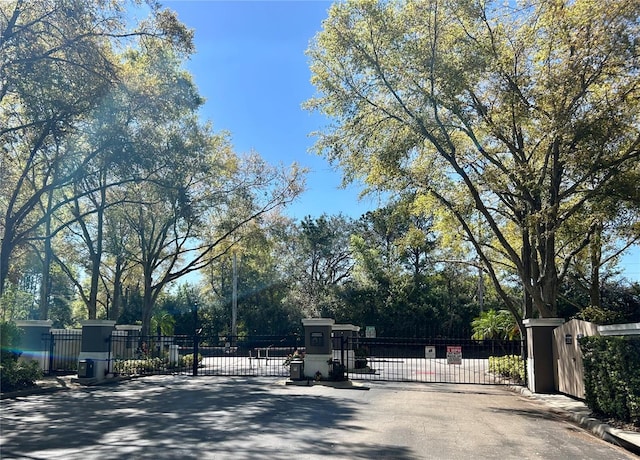 view of road featuring curbs, a gated entry, and a gate