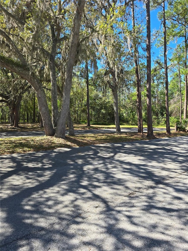 view of road